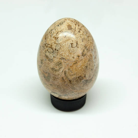Marble Egg image 0