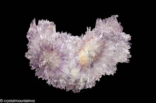 Amethyst Flower Plate image 2