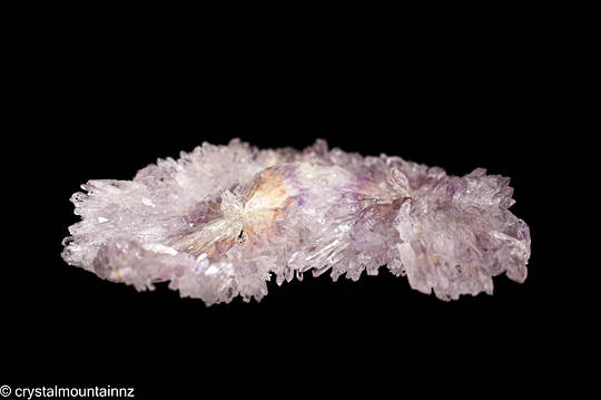 Amethyst Flower Plate image 5