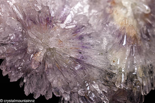 Amethyst Flower Plate image 4