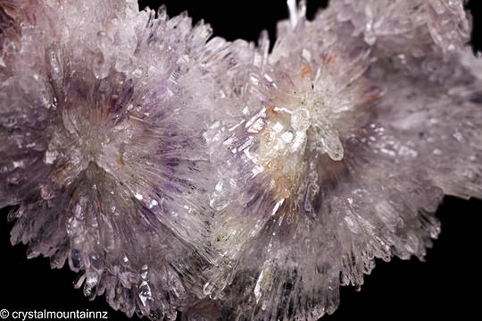 Amethyst Flower Plate image 1