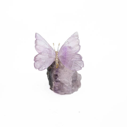 Amethyst Butterfly on Druze image 0