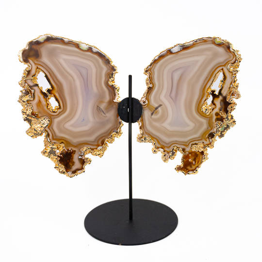 Agate Butterfly image 0