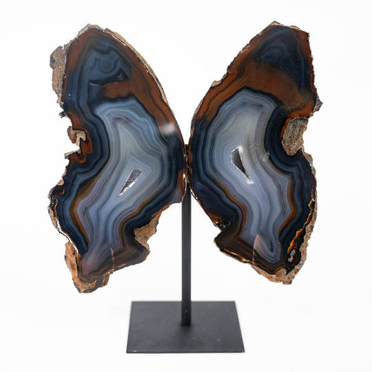 Agate Butterfly image 0