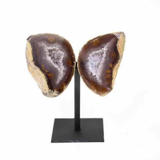 Agate Butterfly image 0