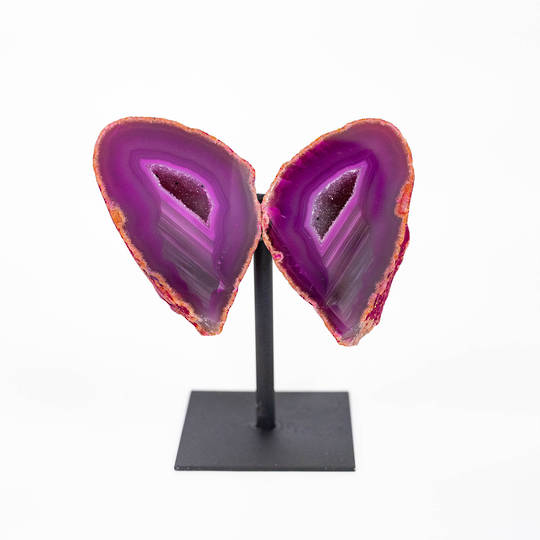 Agate Butterfly image 0