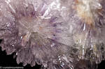 Show additional image 4