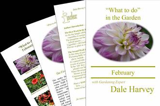 "What to do" in the Garden for February