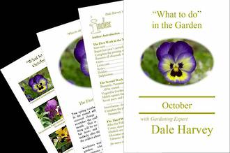 "What to do" in the Garden for October