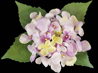 Hydrangea – Light Lilac
