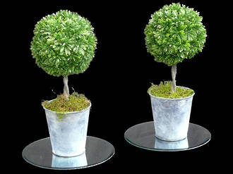 Boxwood Topiary Plants - Artificial