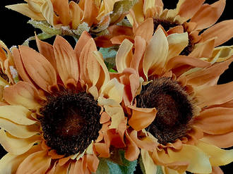 Sunflower - Yellow Orange Bunch