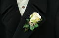 White Rose with Pink Blush Boutonniere