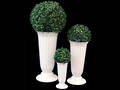 Boxwood Topiary Vases - Set of 3