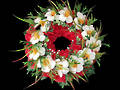 Cream Hibiscus Wreath – Silk Flowers
