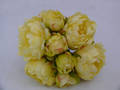 Lemon Peony Round Posy Bouquet