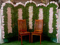 Flower Wall - Photo Booth Backdrop