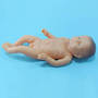 Full Term Newborn Baby Model - Boy