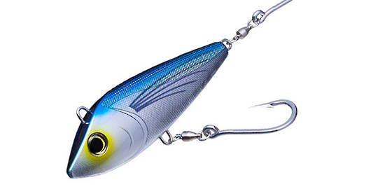 Lures for Bonito and Tailor!, Diptera, Teuthida
