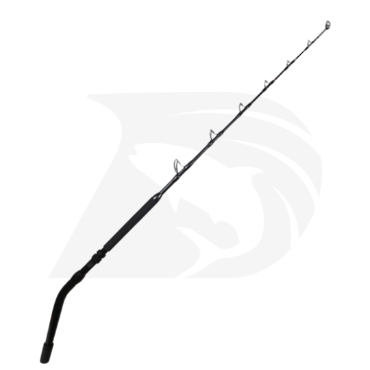 Precision Angling Dynamic 50-80lb B/Butt Rod