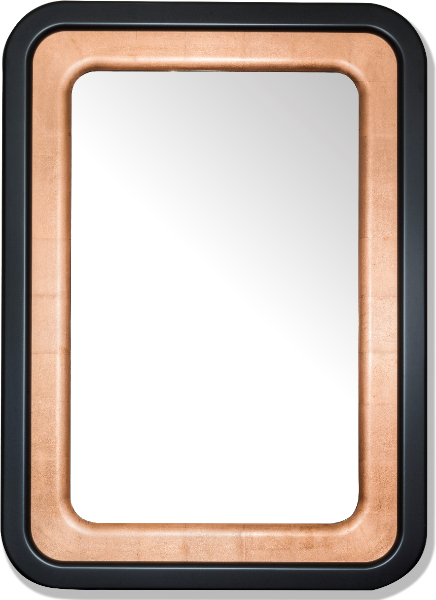 Mirror 01-747