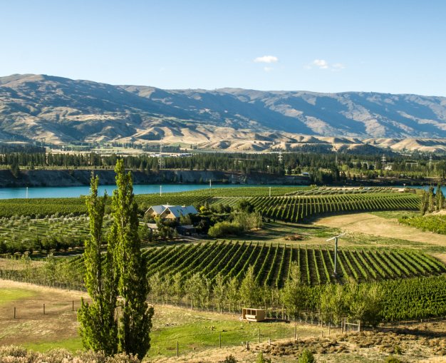 Central Otago Wine