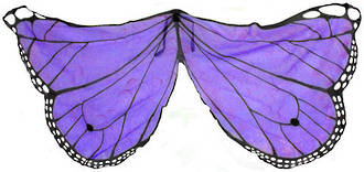 Butterfly Wings purple