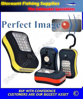 Perfect Image - 24 LED WORKLIGHT & 4 LED TORCH