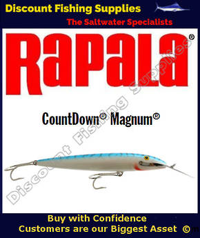 Rapala CD22 Sinking Magnum - 9" Silver Mackerel