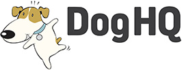 DogHQ - North Shore's Award Winning Dog Day Care