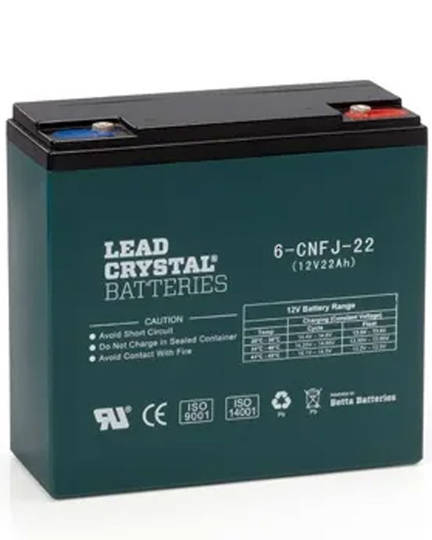 Lead Crystal 6-CNFJ-22 SLA 12V 22AH Battery