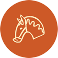 icon activties2