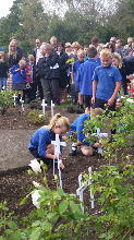 Planting the crosses in the Memorial Garden