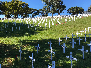 Wellington Field of Remembrance 2018