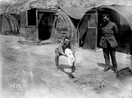 WW1 tunnellers with their cat Snowy
