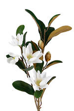 Pearl Magnolia Spray White 61cm