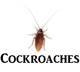 Click here for cockroach products