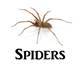 Click here for spider products