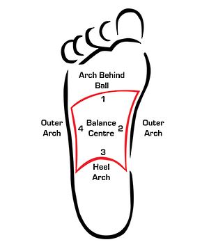 The 4 Arch Support System