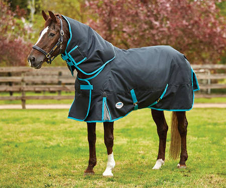 Weatherbeeta Comfitec Premier Free Detach-A-Neck Medium