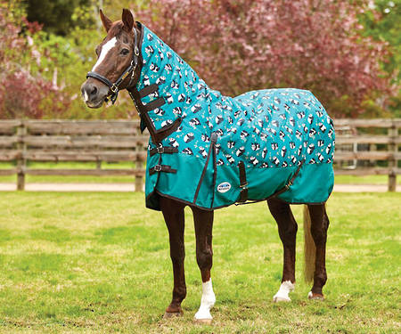 Weatherbeeta Comfitec Essential Combo Medium