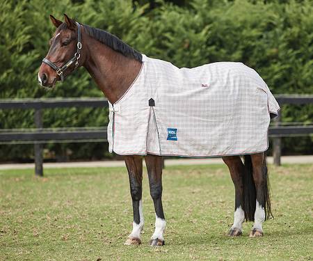 Kool Coat Cotton Standard Neck