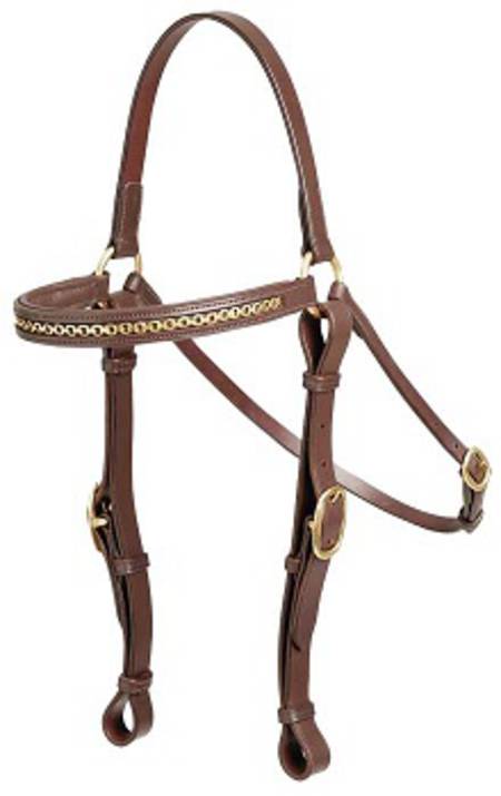 Aintree Barcoo Ranger Head Bridle