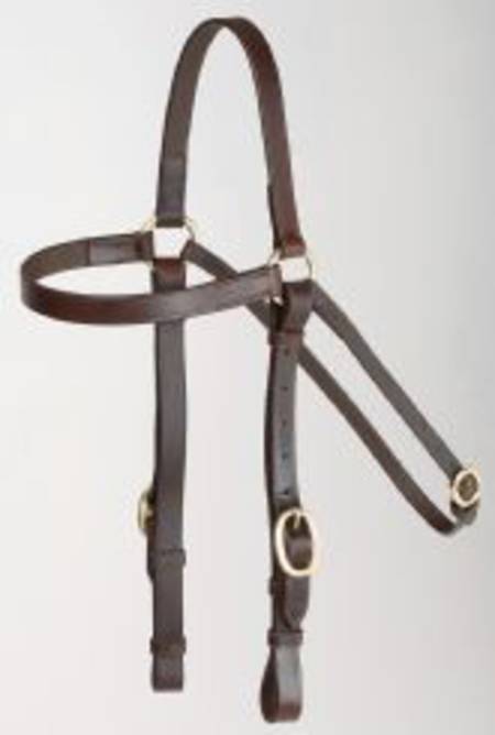 Aintree Barcoo Bridle 20mm +Reins