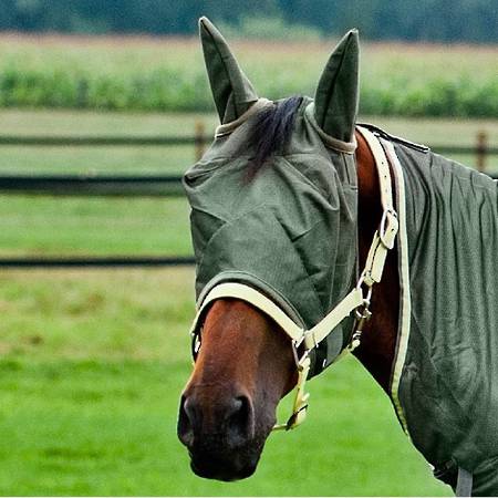 Horze Fly Hood