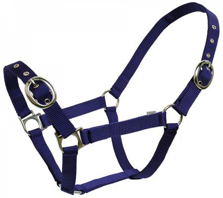 BT Web Halter - 25mm