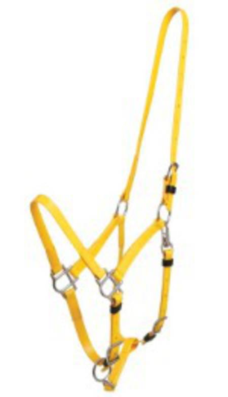 Zilco Delux Endurance Bridle- 2 Part-Halter