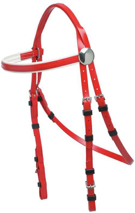 Zilco Rosette Race Bridle