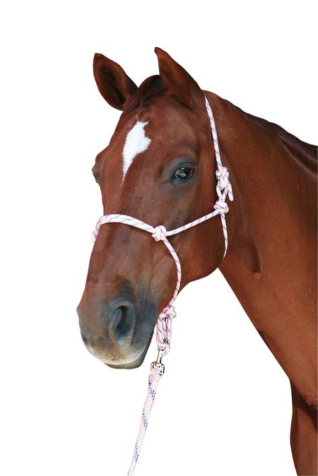Roma Rainbow Rope Headcollar And Lead Set