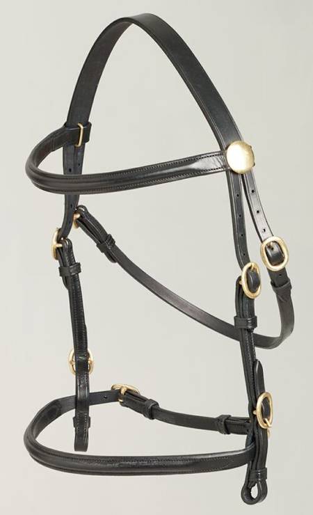 Aintree In Hand Bridle